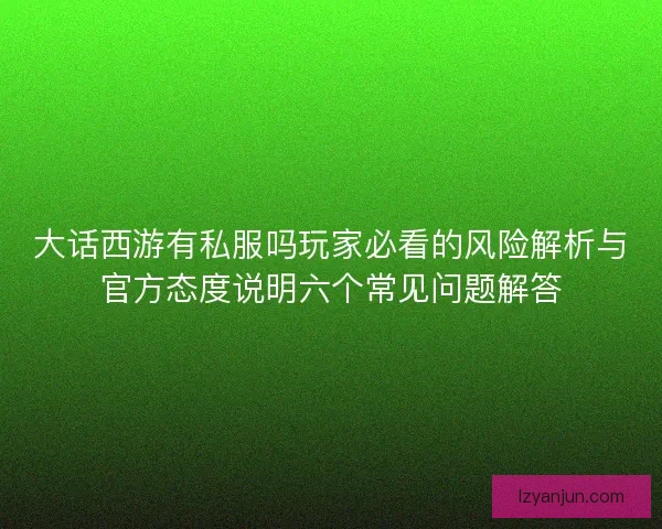 大话西游有私服吗玩家必看的风险解析与官方态度说明六个常见问题解答